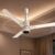 High Air Delivery Ceiling Fans – Why are They Important?