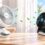 What is a personal charging fan and How Does It Work?
